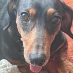 WhatsApp Image 2023-09-11 at 3.22.00 AM (1)