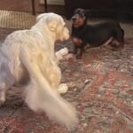 WhatsApp Image 2023-09-11 at 3.22.01 AM